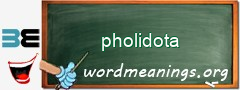 WordMeaning blackboard for pholidota